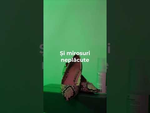 Încărcați videoclipul: